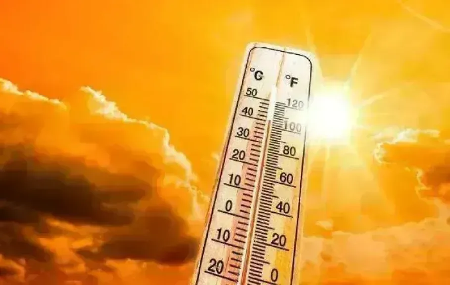 طقس السبت.. الأرصاد تحذر من ارتفاع الرطوبة والشبورة صباحًا والعظمى بالقاهرة 35 درجة