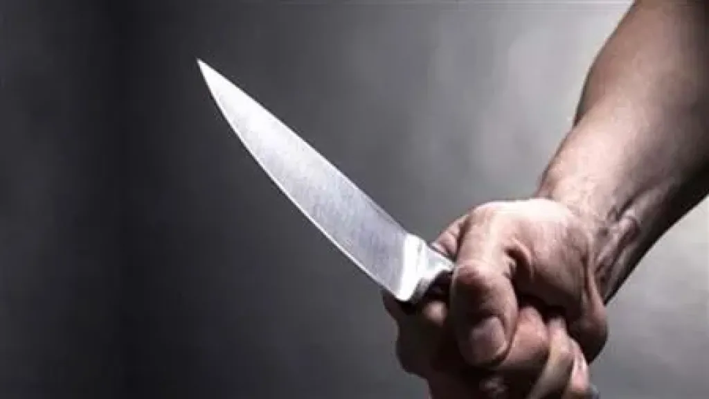 المتهم بقتل تاجر موبيليا في حلوان يعترف أمام المحكمة: أنهيت حياته بمطرقة وسكين بهدف السرقة