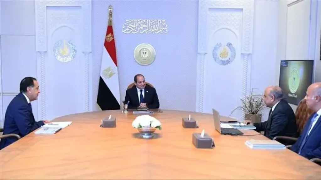 الرئيس السيسي يستعرض موقف دعم وتطوير الشبكة القومية للكهرباء