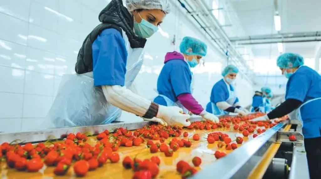 خطة لزيادة صادرات مصر الغذائية والزراعية إلى 19 مليار دولار بحلول 2030