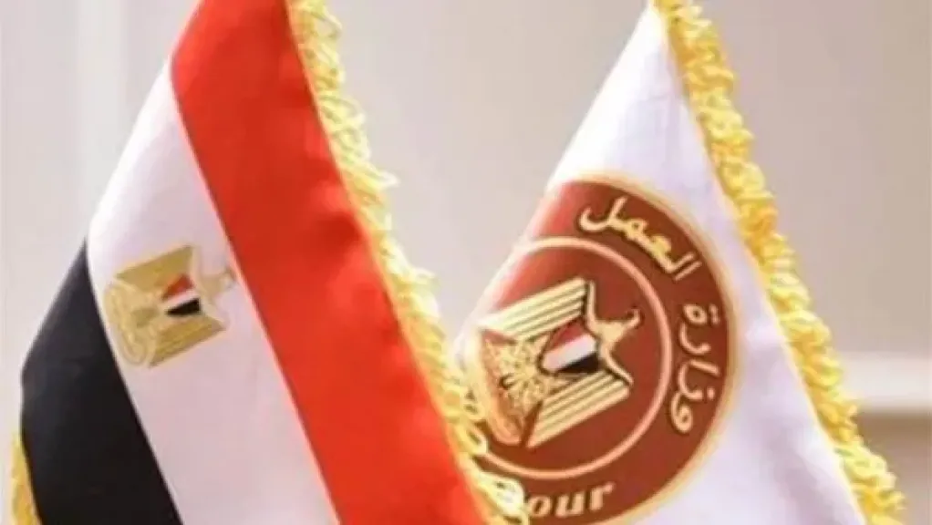 خطة عاجلة من وزارة العمل للتفتيش علي المنشآت لضمان تفعيل قانون العمل الجديد