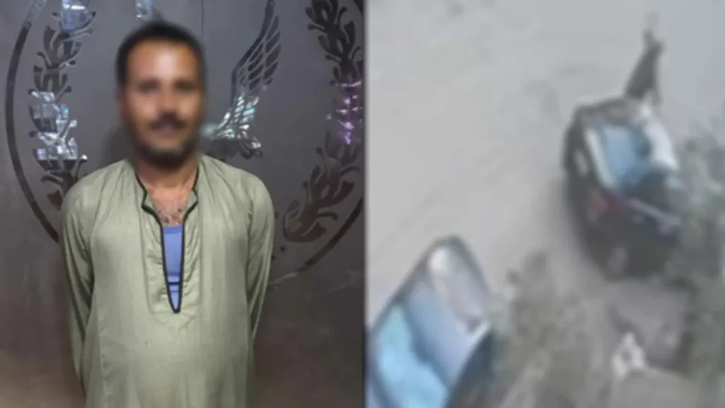 الأمن يضبط حارس عقار اعتدى على كلب ضال بعصا في المقطم