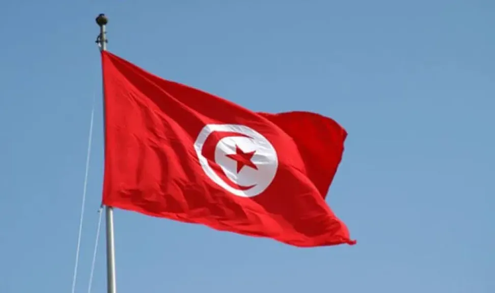 تونس تمنح تسهيلات لحصول المصريين على تأشيرات دخول