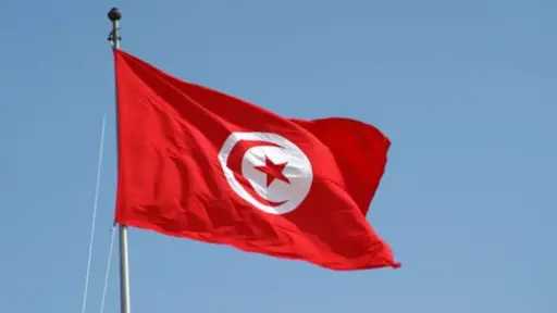 تونس تمنح تسهيلات لحصول المصريين على تأشيرات دخول