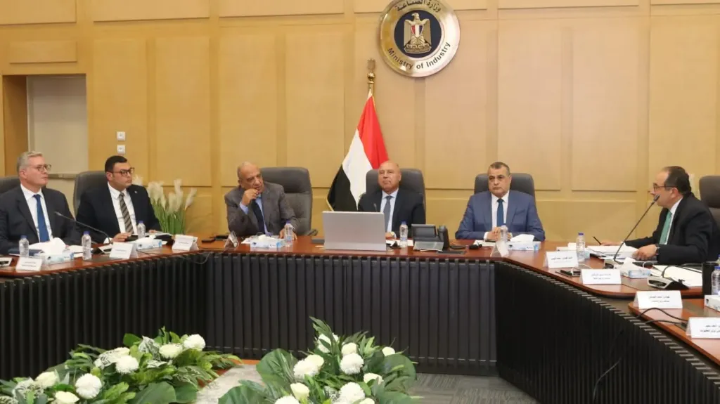 المجلس الأعلى للطاقة يناقش الإسراع في توفير ”الطاقة” اللازمة ورفع القدرة لمشروعات الصناعة الاستراتيجية