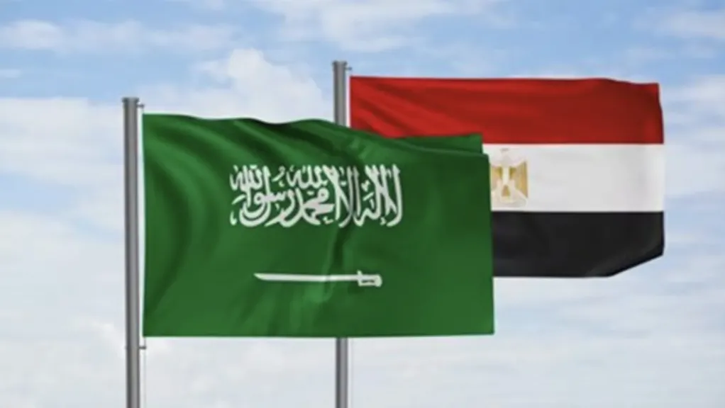 وزير الخارجية: تنفيذ مشروع استثماري كبير بالشراكة مع السعودية بمنطقة البحر الأحمر