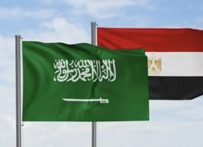 وزير الخارجية: تنفيذ مشروع استثماري كبير بالشراكة مع السعودية بمنطقة البحر الأحمر
