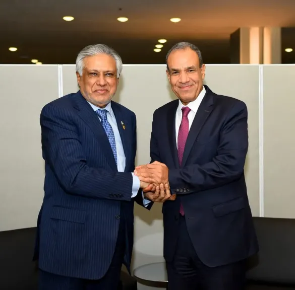وزير الخارجية يلتقي نظيره الباكستاني على هامش فعاليات الشق رفيع المستوي للجمعية... وزير الخارجية يلتقي نظيره الباكستاني على هامش فعاليات الشق رفيع المستوي للجمعية العامة