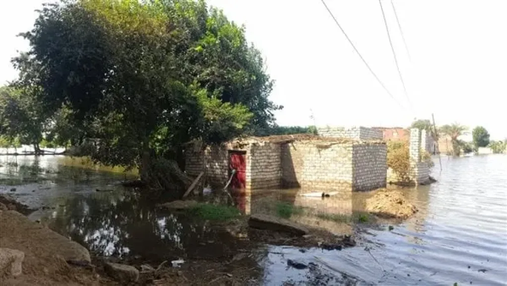 عاجل : رئيس مدينة بالمنوفية صدر تحذير عاجل بإخلاء المنازل والاراضي بسبب ارتفاع منسوب النيل وغرق مساحات واسعة