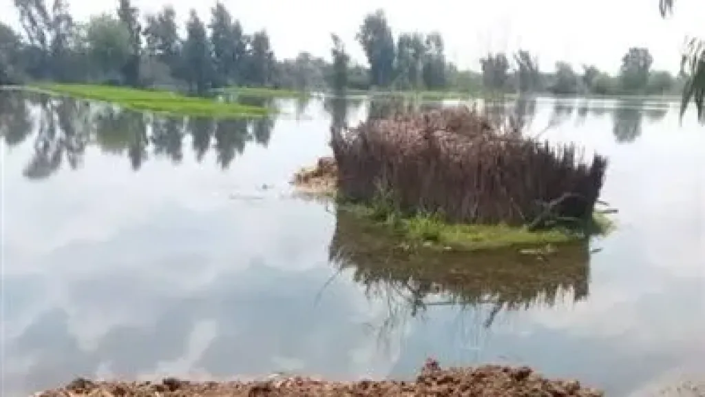 مدبولي: أراضي طرح النهر جزء من النيل.. ولا يجوز البناء عليها أو زراعتها