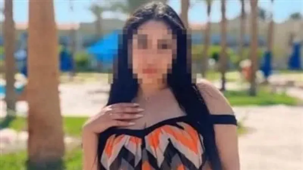 قرار قضائي جديد ضد البلوجر «دينا محمد» في قضية نشر فيديوهات خادشة للحياء