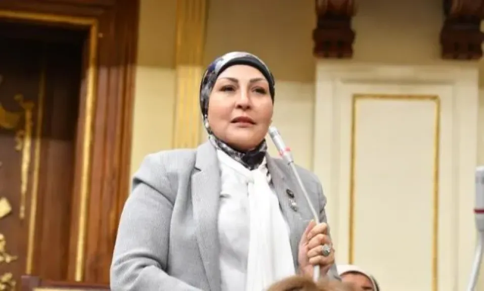 النائبة هالة أبو السعد: اللجنة المصرية الإغاثية بغزة تجسد التزام مصر الإنساني