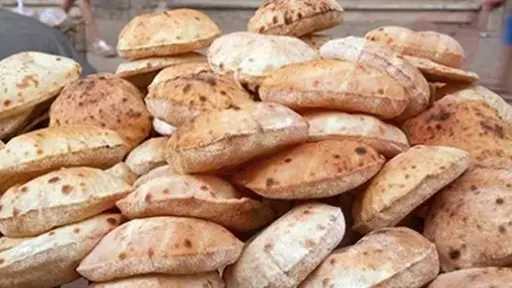 غرفة صناعة الحبوب: عدم المساس بسعر الخبز المدعم واستمرار طرحه للمواطنين بـ20 قرشا