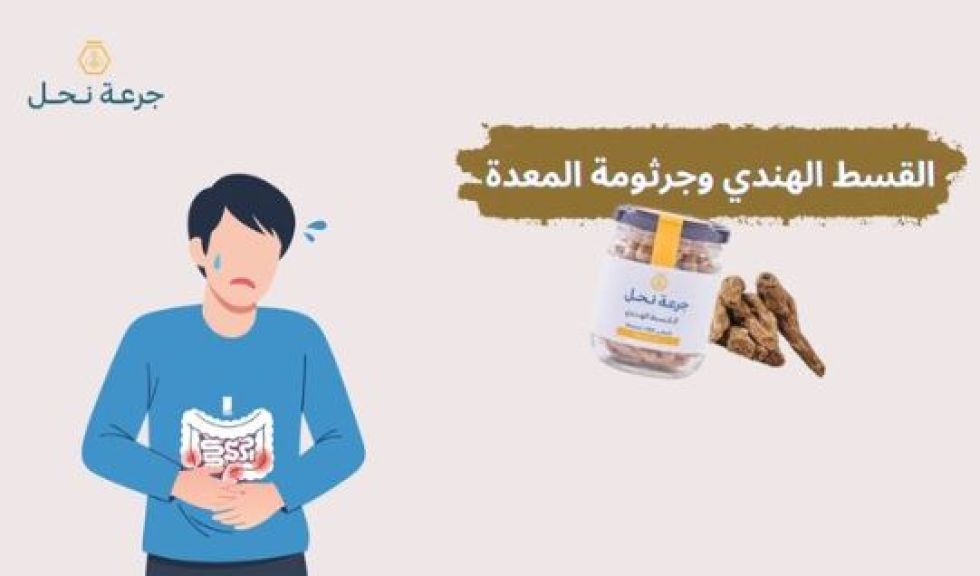 القسط الهندي ودوره في علاج جرثومة المعدة: بين التجارب والطب الحديث
