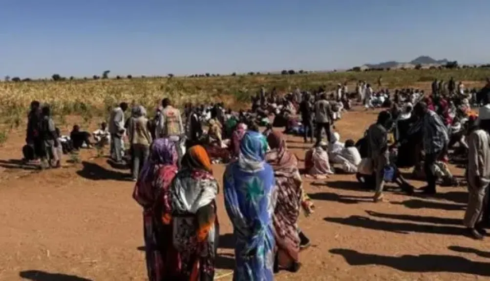 الأزهر يدعو حكماء السودان لوقف نزيف دماء الأبرياء في الفاشر