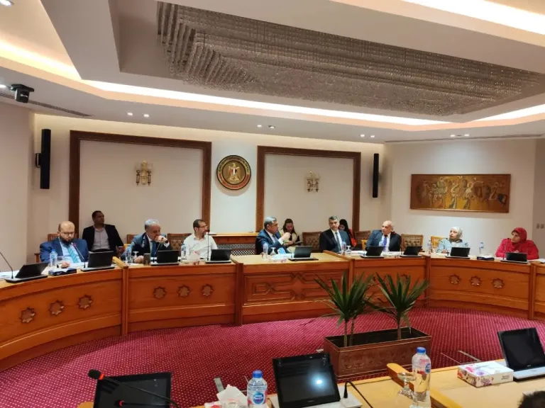 انعقاد اللجنة الدائمة لمتابعة العلاقات المصرية الإفريقية انعقاد اللجنة الدائمة لمتابعة العلاقات المصرية الإفريقية