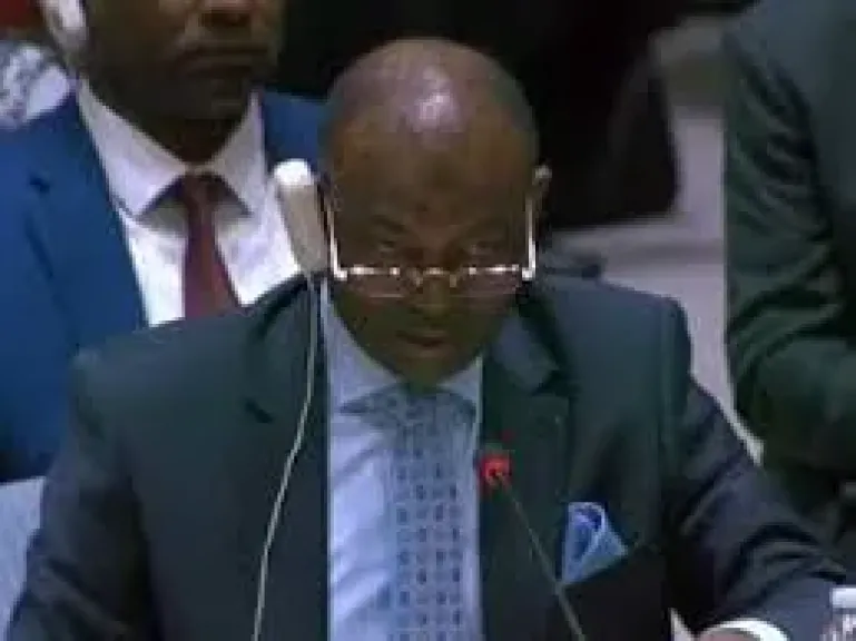 لا تفاوض معها.. السودان يطالب مجلس الأمن بتصنيف ميليشيا الدعم السريع منظمة إرهابية