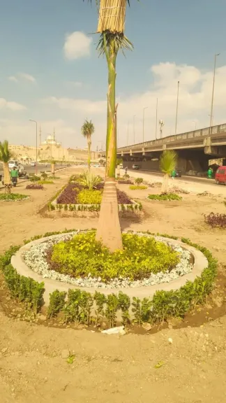 وزيرة التنمية المحلية تعلن انطلاق المرحلة الرابعة من المبادرة الرئاسية ”100 مليون... وزيرة التنمية المحلية تعلن انطلاق المرحلة الرابعة من المبادرة الرئاسية ”100 مليون شجرة” بمحافظة الفيوم