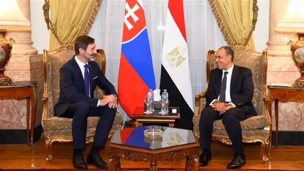 لبحث تطورات الأوضاع الإقليمية.. وزير الخارجية يلتقي نظيره السلوفاكي لبحث تطورات الأوضاع الإقليمية.. وزير الخارجية يلتقي نظيره السلوفاكي