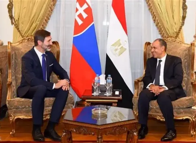 لبحث تطورات الأوضاع الإقليمية.. وزير الخارجية يلتقي نظيره السلوفاكي