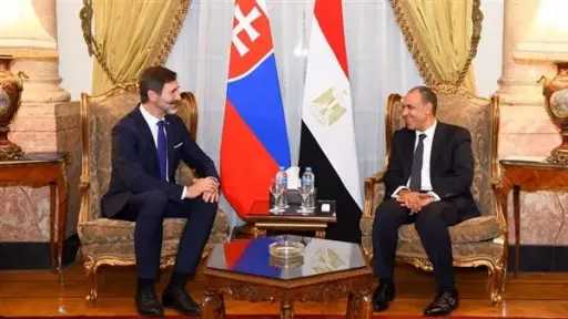 لبحث تطورات الأوضاع الإقليمية.. وزير الخارجية يلتقي نظيره السلوفاكي