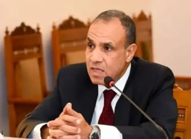 مصر تدعو إلى ”مقاربة إفريقية” لحل النزاعات بالقارة وتحقيق التنمية الشاملة