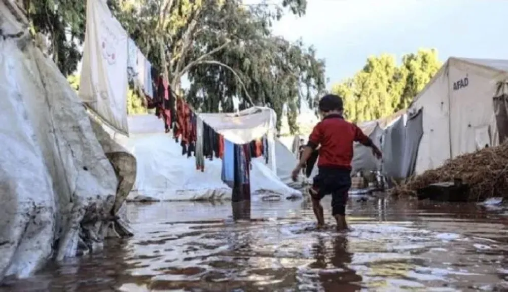 عشائر غزة تحذر: الشتاء في غزة حكم بالإعدام على ملايين الفلسطينيين