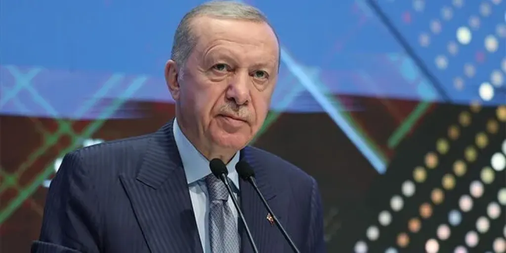 أردوغان يعلن إطلاق برنامج دعم لسوريا تحت مظلة الكومسيك