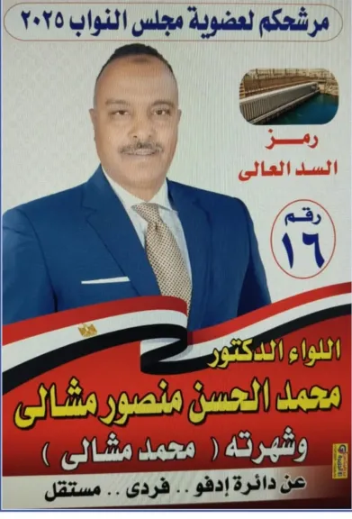 السد العالي ينافس ١٩ مرشحاً بدائرة إدفو