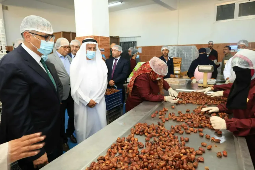 محافظ الجيزة يتفقد خطوط إنتاج التمور والزيتون بالواحات البحرية ويشيد بالكفاءة التشغيلية