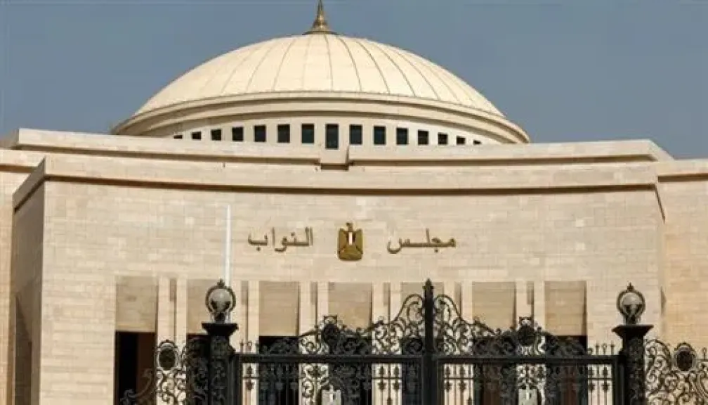 انتخابات مجلس النواب 2025.. الوطنية للانتخابات تحذر من فعل يبطل التصويت