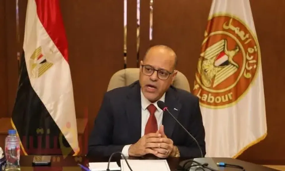 خلال 6 أيام فقط.. 410 محضرا بشأن الحد الأدنى للأجور و118 مخالفة لتراخيص عمل الأجانب