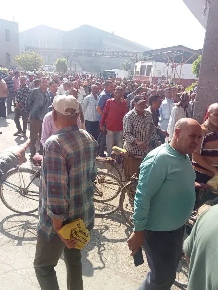 عمال الصناعات الغذائية بالصعيد يشاركون في انتخابات مجلس النواب: ”واجب وطني ودعم للاستقرار”