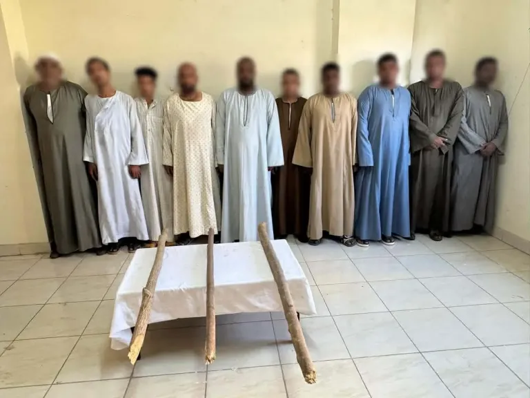 الوطنية للانتخابات: مشاجرة بين أنصار مرشحين تتسبب في توقف التصويت بلجنة بإسنا.. والأمن سيطر عليها