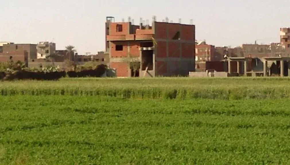 تضارب السياسات في محافظة المنوفية: العقوبات على الملتزمين وارتفاع الأسعار