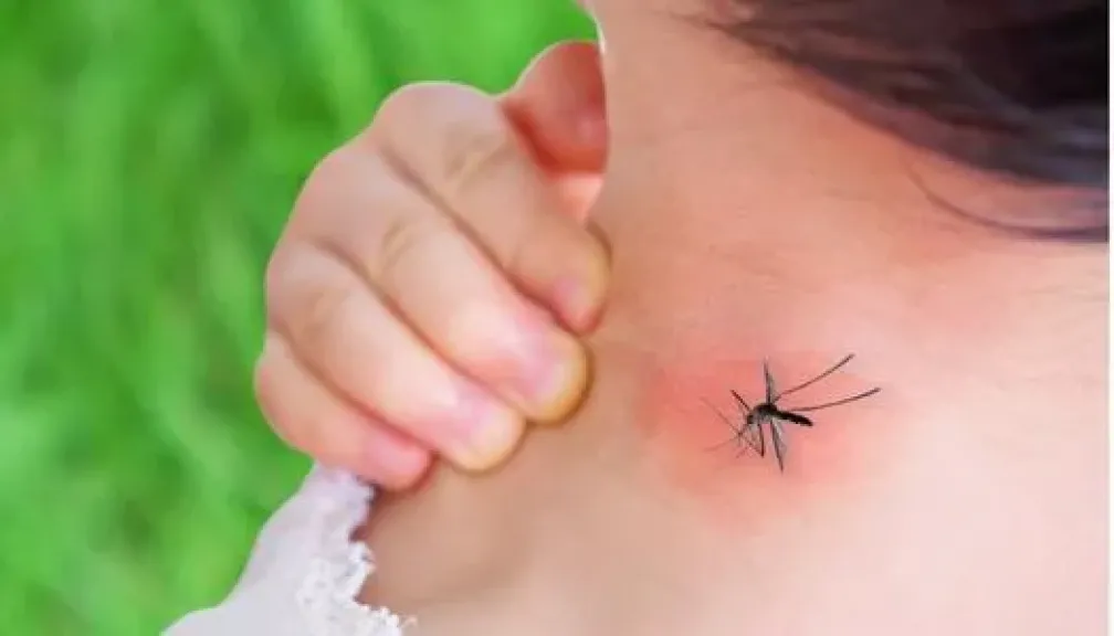 ﻿إسلام أباد: تسجيل 6 حالات إصابة جديدة بحمى الضنك فقط خلال 24 ساعة