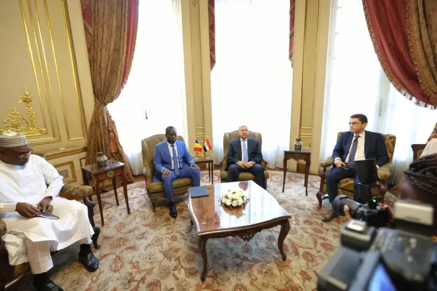 وزير الصناعة والنقل يشارك في اجتماعات اللجنة المصرية التشادية المشتركة