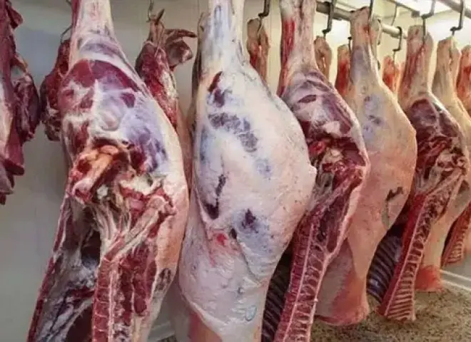 شعبة القصابين: ضعف الإنتاج والاعتماد على الاستيراد سبب ارتفاع أسعار اللحوم