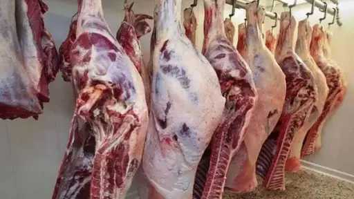 شعبة القصابين: ضعف الإنتاج والاعتماد على الاستيراد سبب ارتفاع أسعار اللحوم