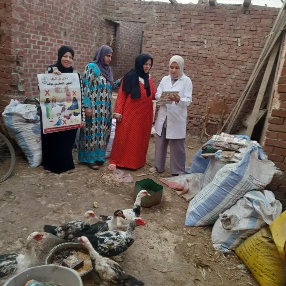 الزراعة: تطلق حملات توعوية مكثفة لتعزيز الأمن الحيوي في قطاع الدواجن المصري