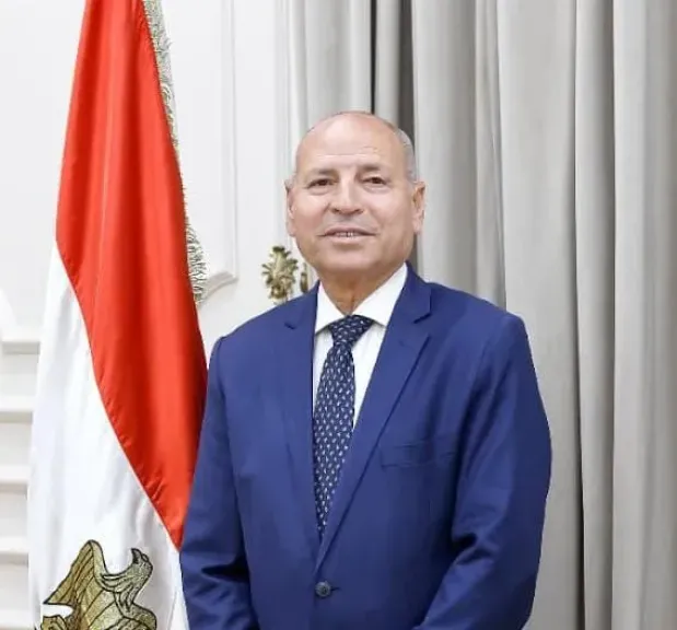 محافظ القاهرة يأمر بحظر الدعاية الانتخابية على بُعد 200 متر من مقار اللجان