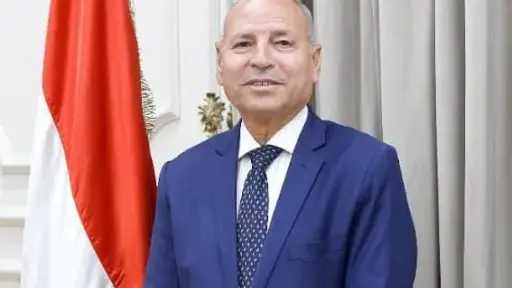 محافظ القاهرة يأمر بحظر الدعاية الانتخابية على بُعد 200 متر من مقار اللجان