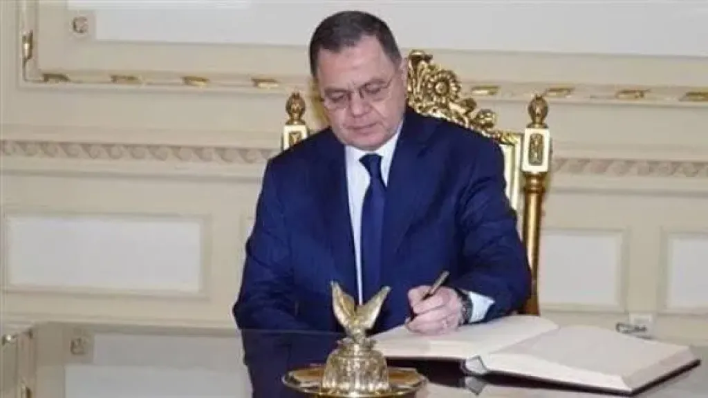 وزير الداخلية يوافق على منح 42 مواطنا الجنسية الأجنبية مع الاحتفاظ بالمصرية