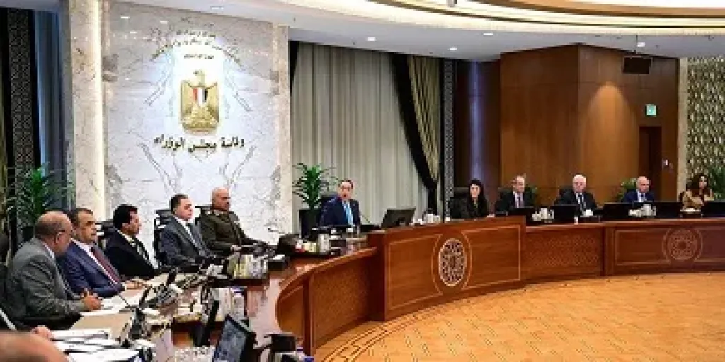 رئيس الحكومة ينفي ظهور فيروسات جديدة في مصر: الأمور في نطاقها الطبيعي