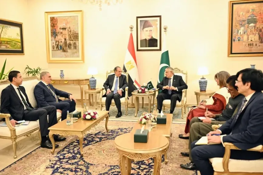 مشاورات سياسية بين وزيرى الخارجية المصري والباكستاني في إسلام آباد