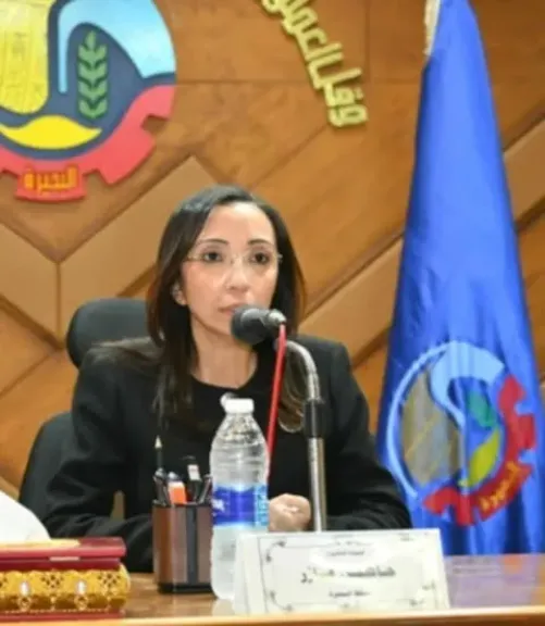 محافظ البحيرة: 1500 معدة وفريق عمل للتعامل مع أي نوات شتوية محتملة