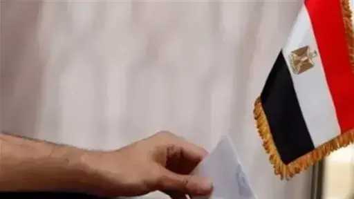 انطلاق تصويت المصريين في الخارج بالـ30 دائرة الملغاة بانتخابات النواب