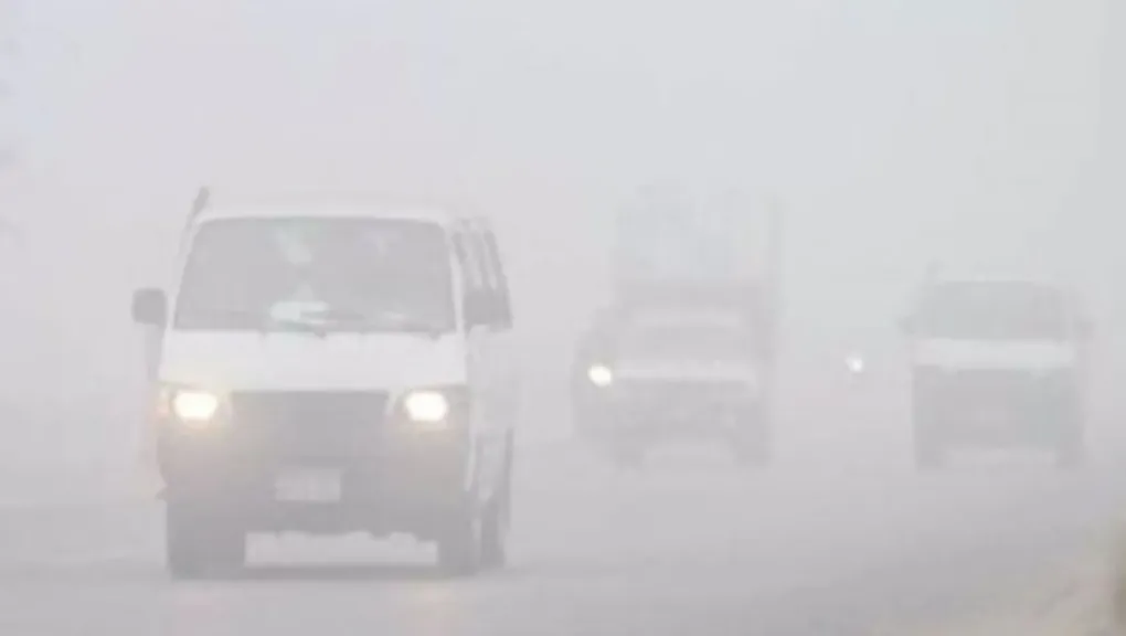 طقس الأربعاء: أجواء باردة والصغرى بالقاهرة 14.. والأرصاد تحذر من شبورة كثيفة