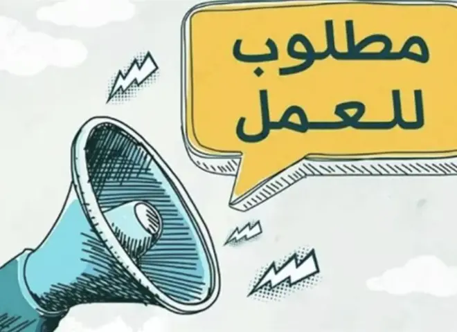 بمرتبات تصل إلى 15 ألف جنيه.. وزارة العمل تُعلن عن 360 فرصة عمل جديدة في الجيزة