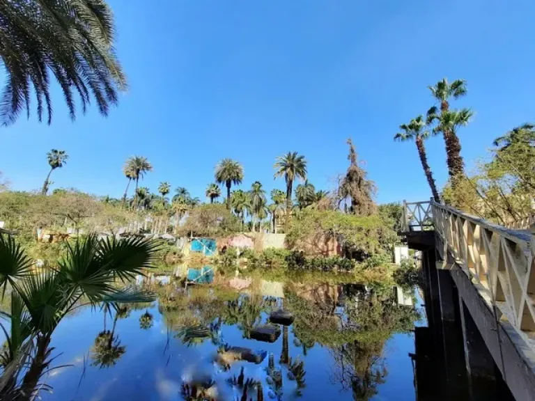 الوزراء: أعمال تطوير حديقتي الحيوان والأورمان تجري بشكل شامل